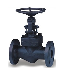 Middle and low pressure forged steel globe valve