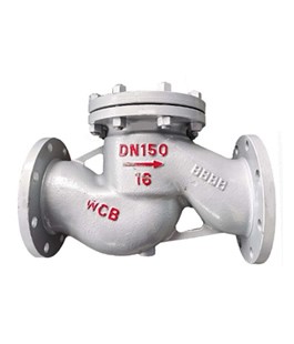 Middle and low pressure lifting check valve