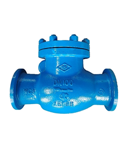 Middle and low pressure swing check valve