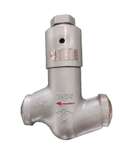 High temperature and high pressure lifting check valve